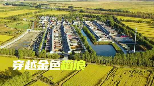 活动图文快剪赛事活动宣传AE制作模版