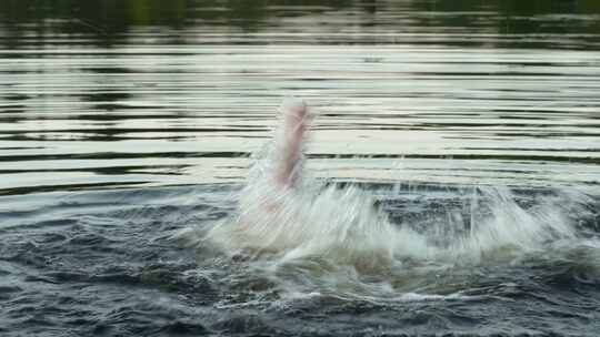 一个人在水中溺水溺亡求救_p