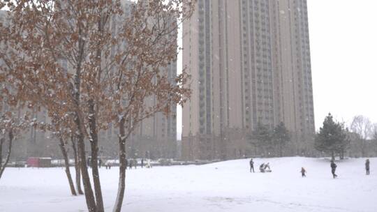 人们在雪中玩耍美丽景色
