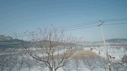 威海冬天雪景行驶的高铁火车上空镜火车窗外