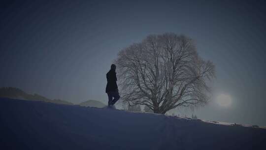 人，行走，雪，树