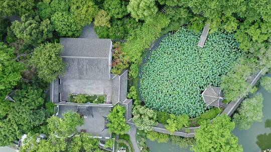 中式建筑园林艺术上海松江醉白池风景区视频素材模板下载