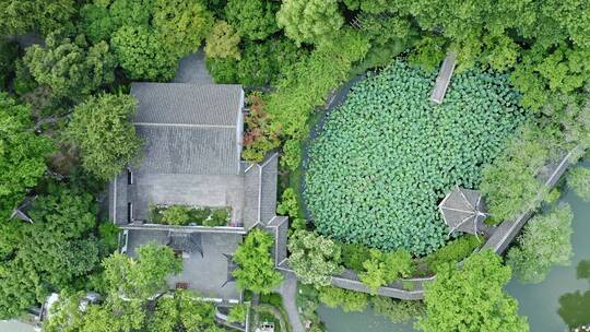 中式建筑园林艺术上海松江醉白池风景区