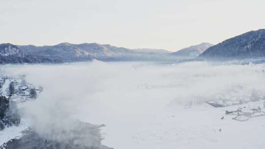 雾，雪，山脉，树木