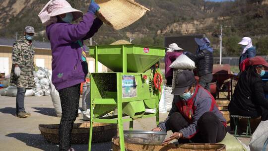 秋天丰收劳动人民