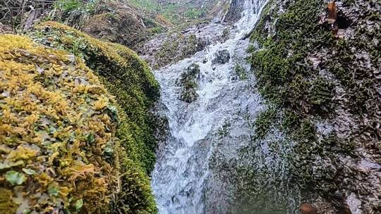 淡水在岩石中流动