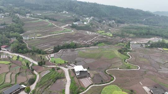 乐山沙湾四峨山梯田