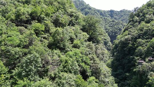 湖北神农大峡谷4A景区航拍