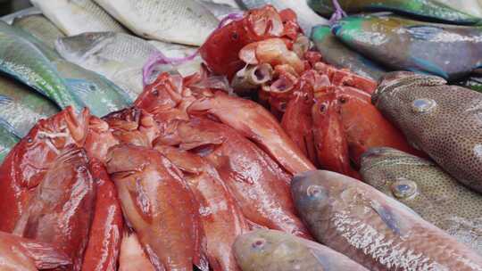 沙特阿拉伯吉达旧鱼市场柜台上红色和彩色冰