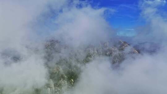 青岛小珠山