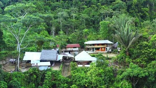 一个大小屋的鸟瞰图，放大显示热带森林