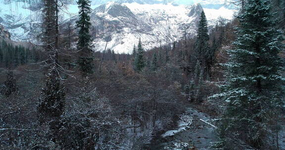 冬季航拍四姑娘山双桥沟雪景森林溪谷