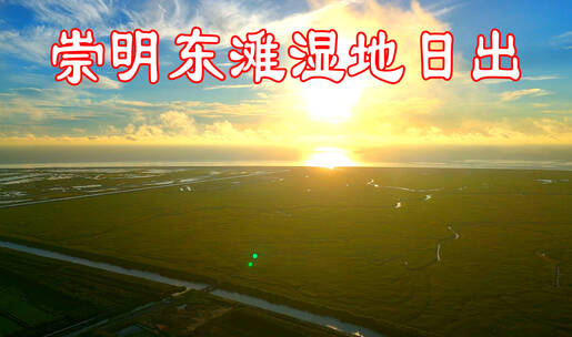 崇明岛 东滩湿地日出