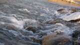 水 河流 小溪 风景 水流 河道 河 风光高清在线视频素材下载