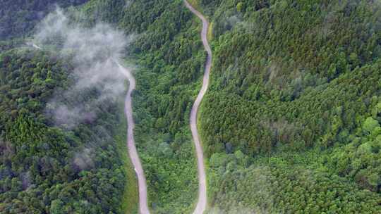 航拍云雾森林中的盘山公路