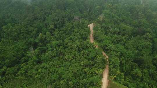 无人机拍摄热带雨林森林上空