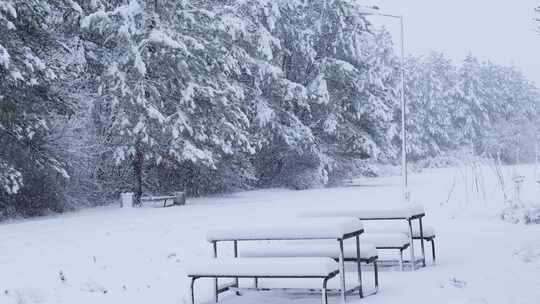 雪场景在的公园2