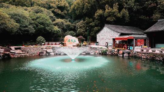 宁波保国寺森林灵龙泉池塘山泉水