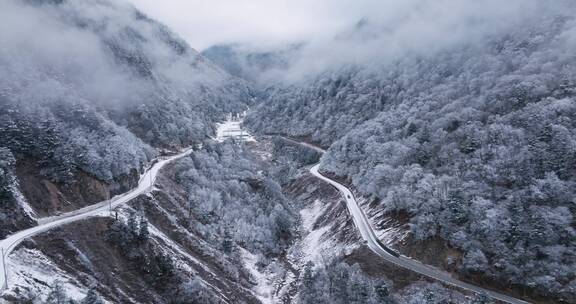 冬季山谷里前往夹金山的盘山公路白雪树林