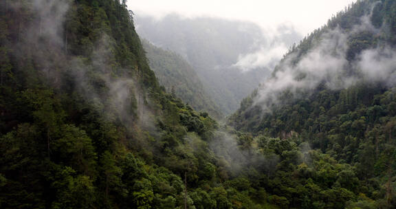 云雾缭绕的山谷/独龙江/乡村振兴