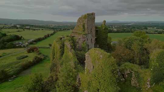 城堡，堡垒，废墟，Carrigogunn