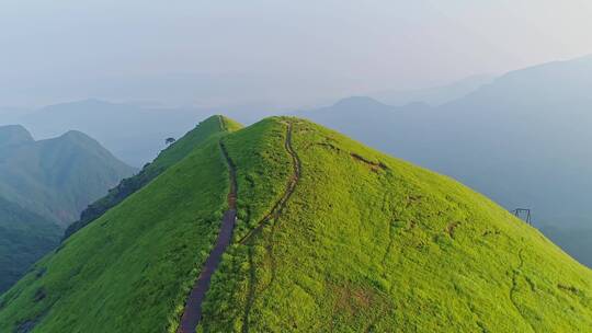 武功山高山草甸