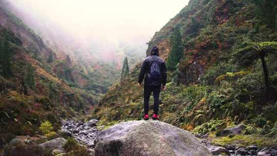 站在山谷中央欢呼