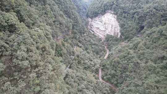 山林中的蜿蜒道路航拍景观