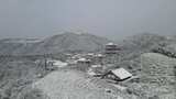 航拍杭州径山寺中式古建筑寺庙山顶森林雪景高清在线视频素材下载