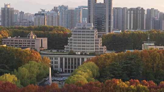 航拍城市落叶秋景西安交通大学
