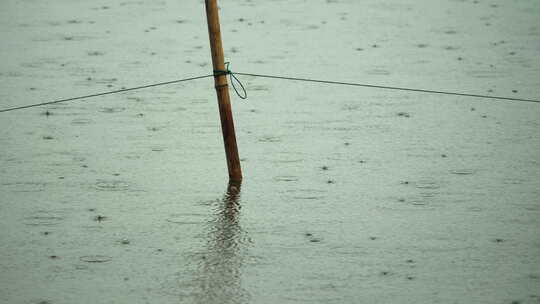 阴天下雨天气池塘竹竿雨点涟漪 