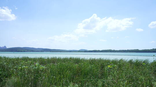 武汉东湖风景区万国公园