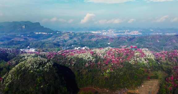 贵州毕节百里杜鹃景区航拍