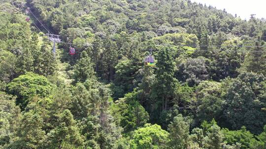森林索道缆车航拍树林俯拍视频素材模板下载