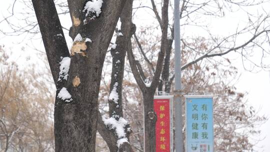 雪景素材