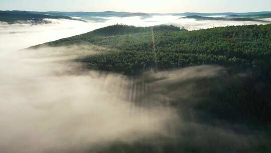 航拍视频 森林云雾