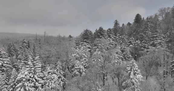 长白山雪岭景区航拍