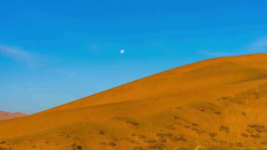 巴丹吉林沙漠沙漠月落延时摄影