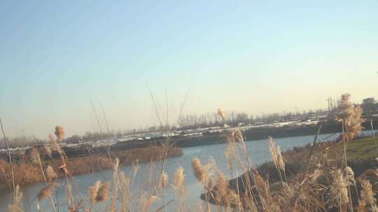 河流 小溪 田园风光 路边风景  旅游