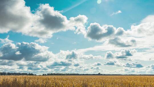 秋季玉米田上空的云景延时