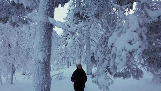 女孩在芬兰北极圈拉普兰探索白雪覆盖的森林视频素材模板下载