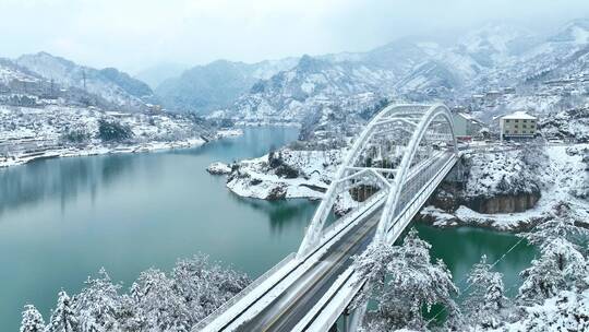 浙江省杭州市望湖村华光区湖上大桥雪中