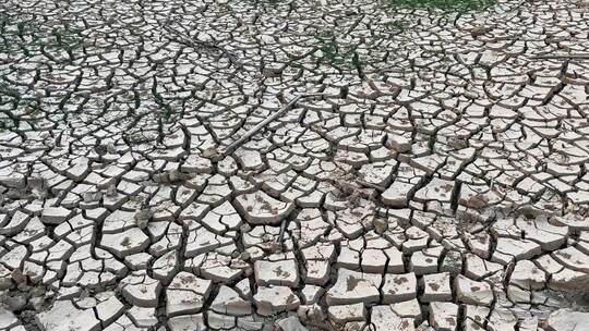 干旱旱地水库干涸饮水困难灌溉取水高温蒸发