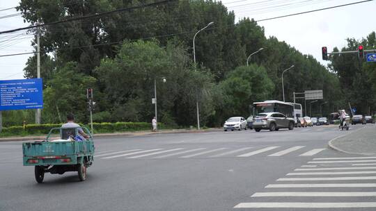 路边马路林荫路道路