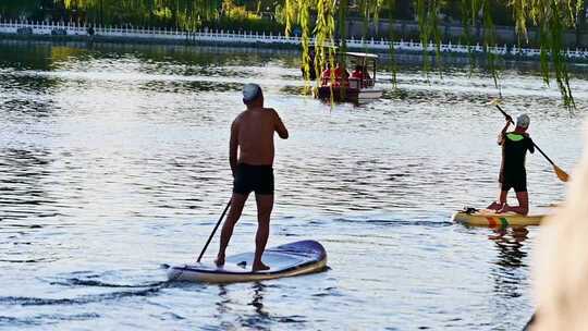公园湖面男子划桨板运动