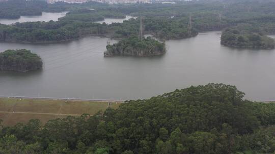 航拍深圳龙华区观澜园林绿化及居住区绿化