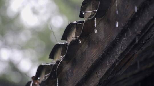 下雨下雨天的屋檐水滴视频素材模板下载