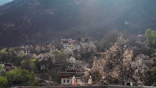 乡村风景丹巴藏寨梨花开