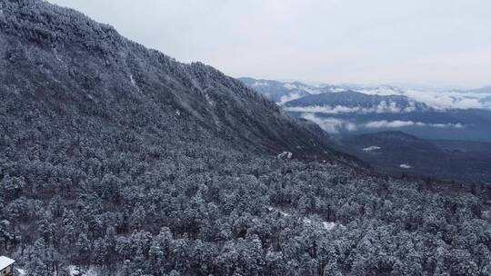 航拍佛教名山四川峨眉山，云海缭绕树林白雪