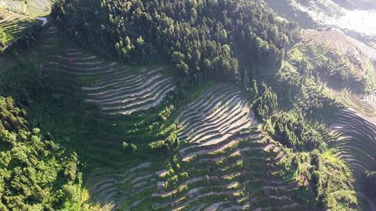 航拍山村田园湖南紫鹊界梯田